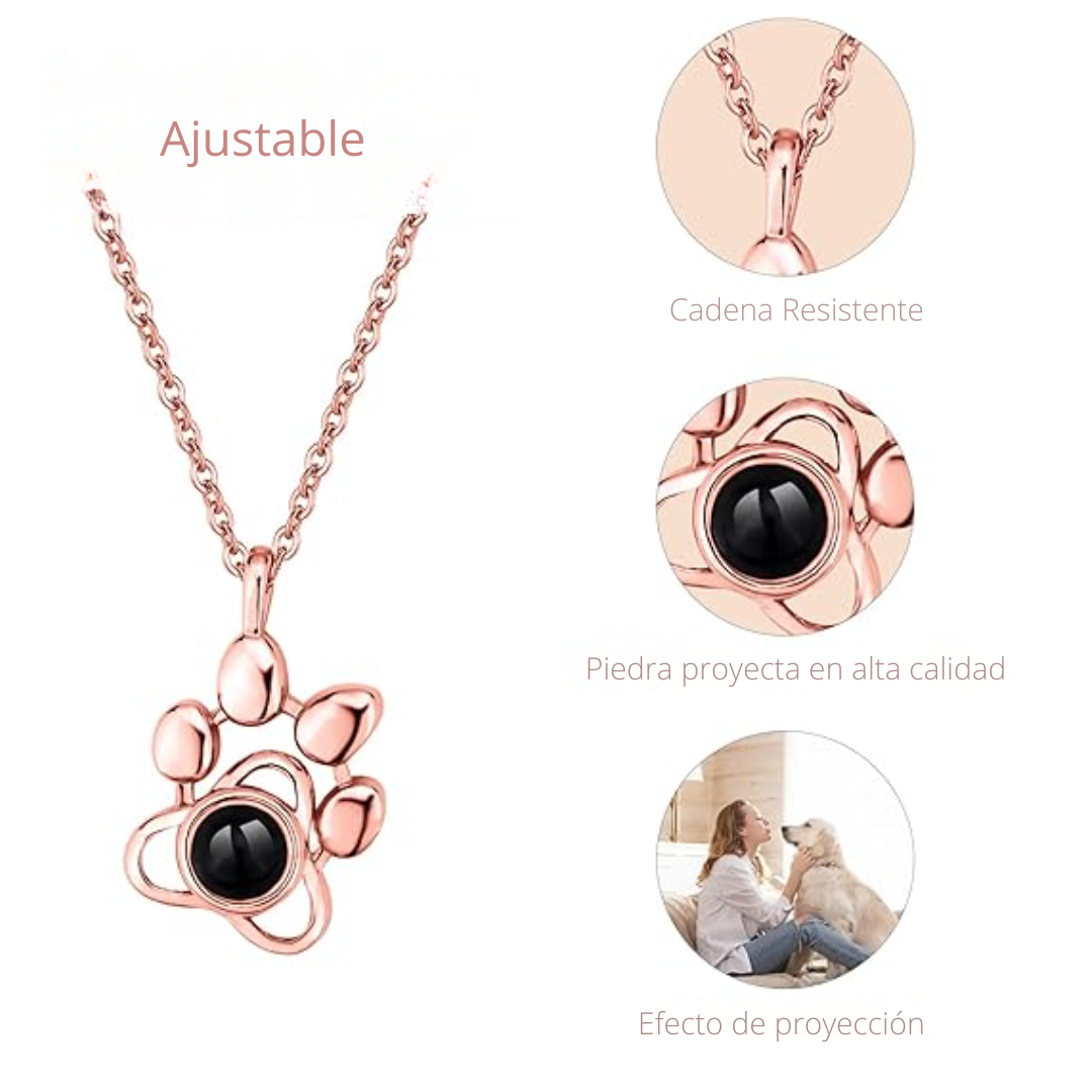 PawLove – Collar Personalizado con Foto de tu Mascota