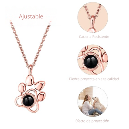 PawLove – Collar Personalizado con Foto de tu Mascota