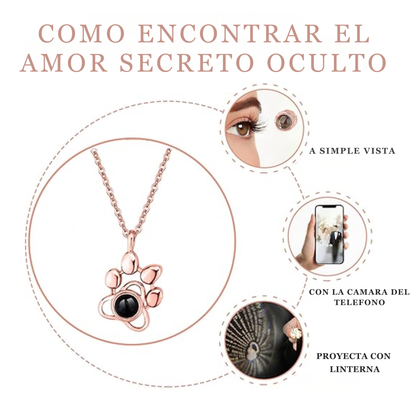 PawLove – Collar Personalizado con Foto de tu Mascota