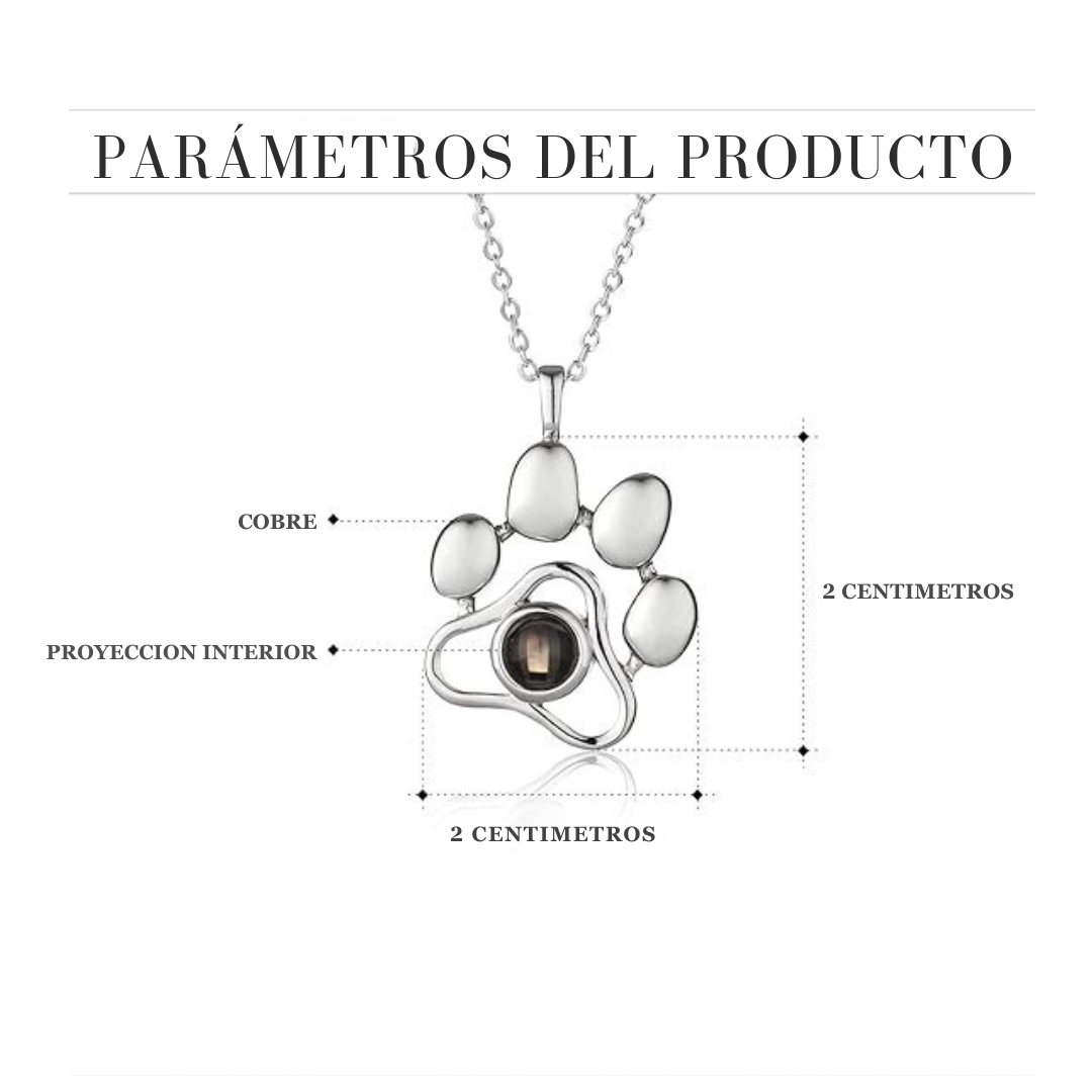 PawLove – Collar Personalizado con Foto de tu Mascota