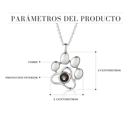 PawLove – Collar Personalizado con Foto de tu Mascota